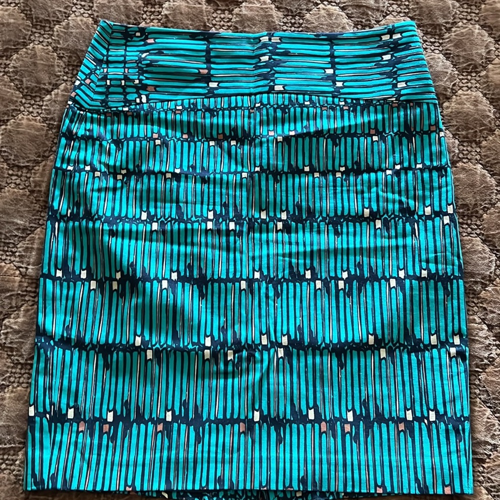 THE LIMITED SKIRT 4